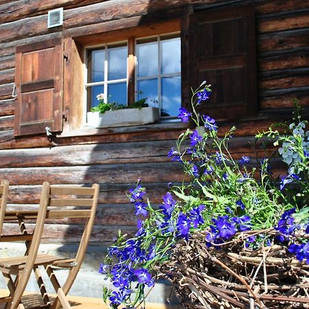 Schiers Hof Surri 아파트 외부 사진